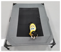 Large Elevated Outdoor Dog Bed